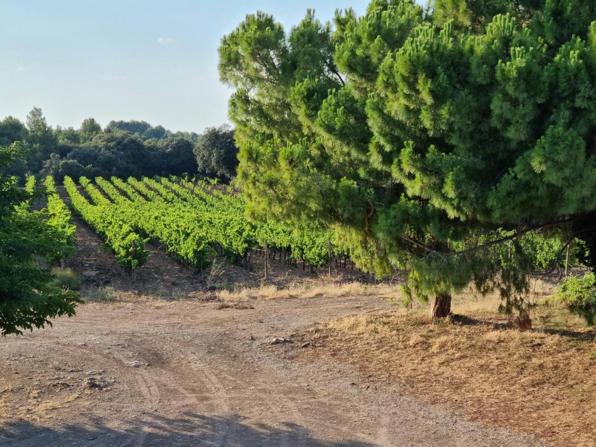 Gites De L'Estagnol Villeneuve-lès-Maguelonne Exterior foto